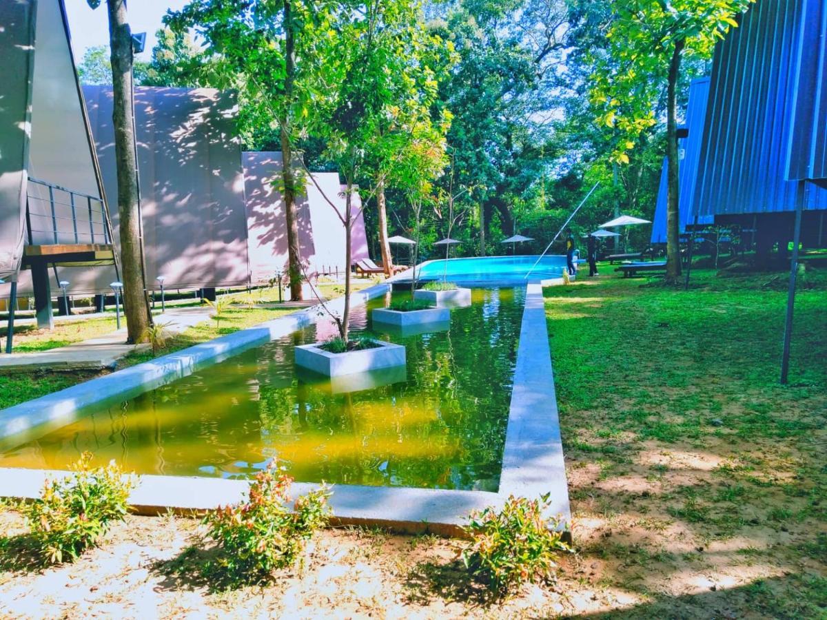 Kottawatta River Bank Resort Udawalawe Eksteriør bilde